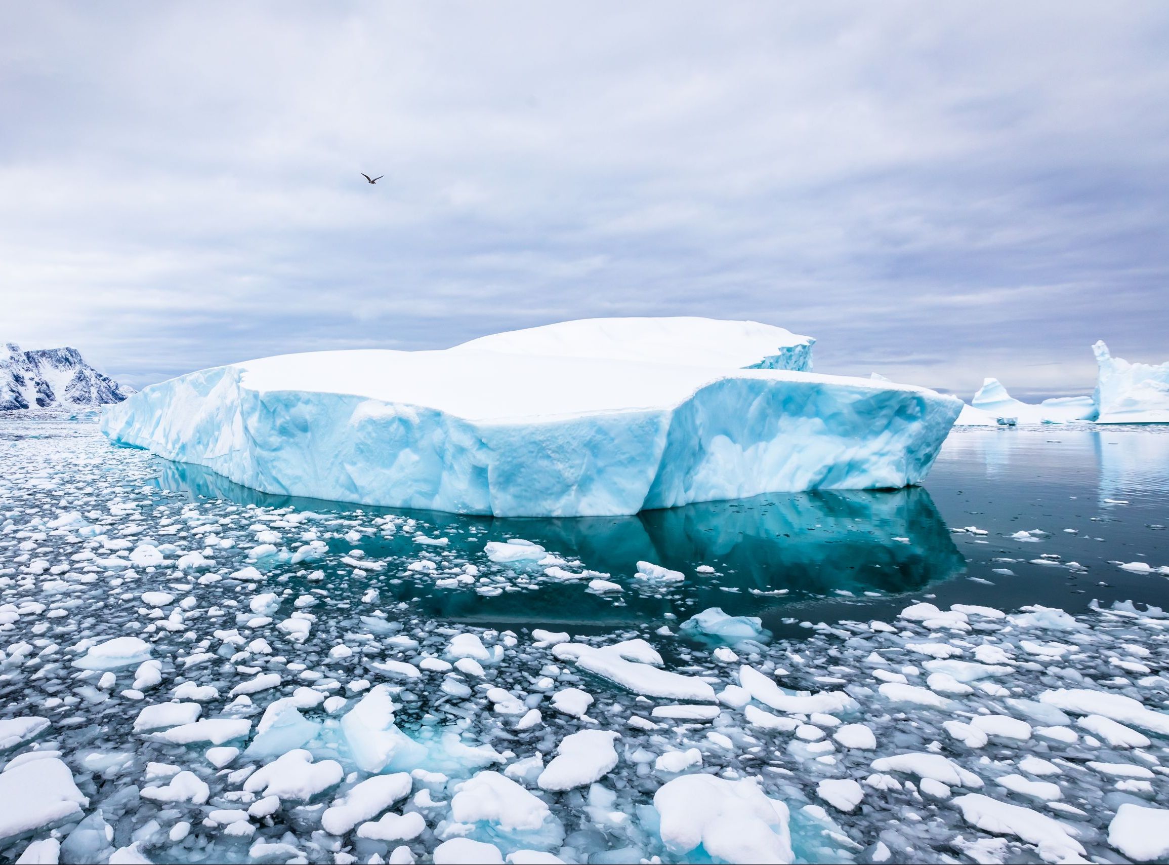 Cambiamento Climatico - Termo Clima Project